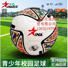 茵浪足球 4號(hào)