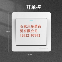 墻壁開關(guān) 單開  10個/裝